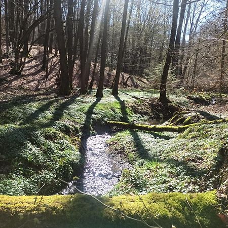 Wellness Ferienwohnung Biene Im Bergischen Land موخ المظهر الخارجي الصورة